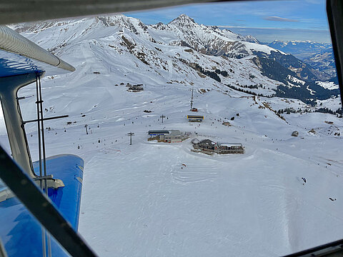 Hahnenmoos.