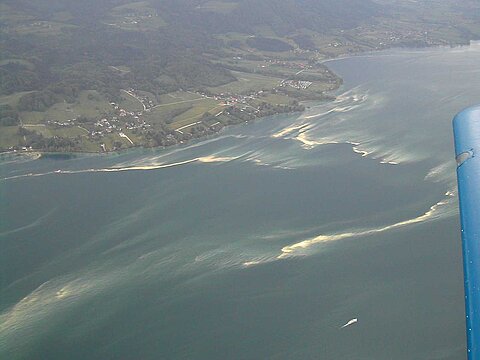 Blütenstaub, Zell am See.