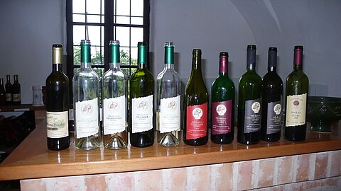 Weingutbesichtigung bei Thomas Burkhalter, unsere Degustationsweine!