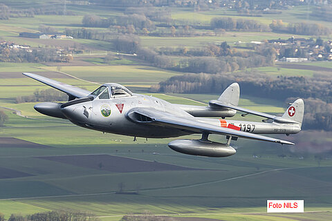Pilot im DH-100 Eric.