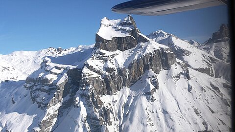 Hahnen oberhalb Engelberg.