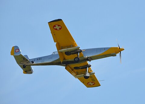 Die langnasige C-3605.