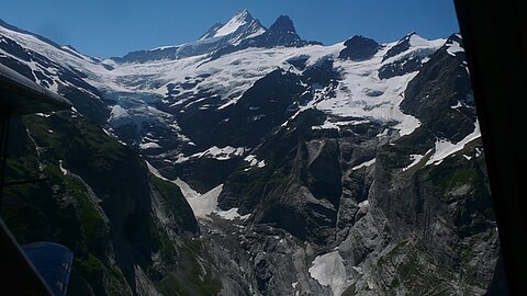Schreckhorn und der obere Grindelwaldgletscher.