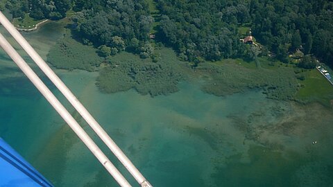 Seichtes Gewässer am Neuenburgersee.