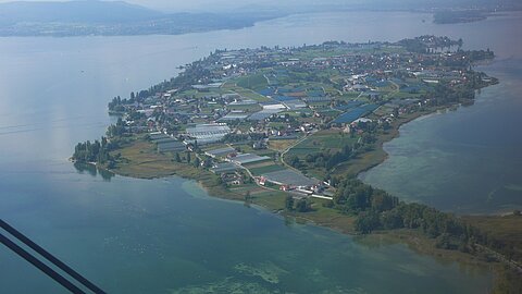 Reichenau mit den unzähligen Gewächshäuser.