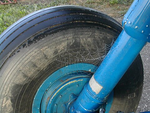Spinnennetz.