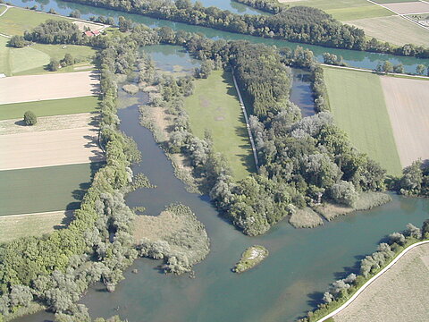 Natürlicher Flusslauf bei Grenchen.