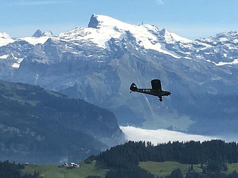 Piper Cub mit Titlis.