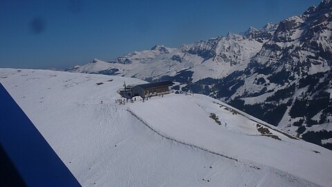 Hahnenmoos.