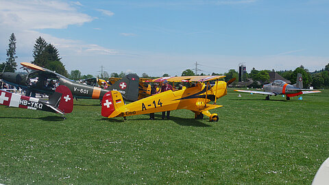 Dornier Do-27, Bücker und Pilatus P-3.