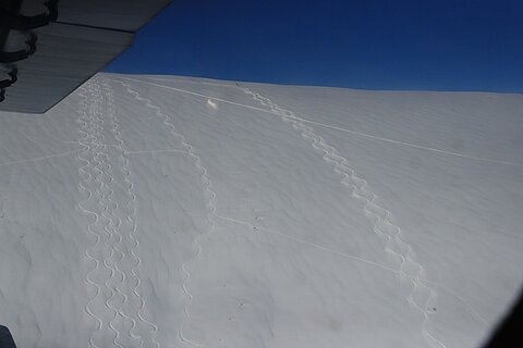 Spuren im Schnee.