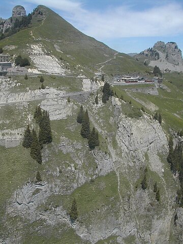 Schinigeplatte.