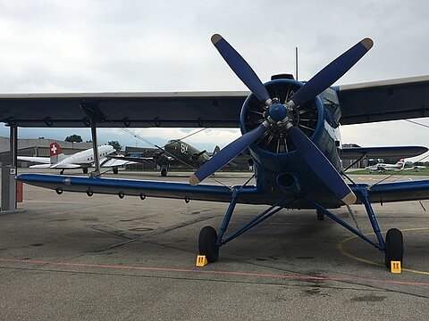 Flugtag Kehl (D) 22.-23.6.2019