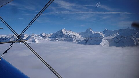 Von rechts Finsterarhorn, Schreckhorn und Wetterhorn.