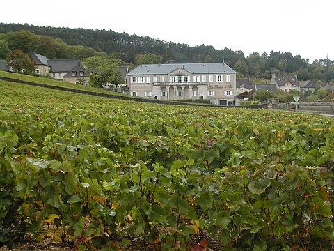 Auf der Rückfahrt nach Autun.