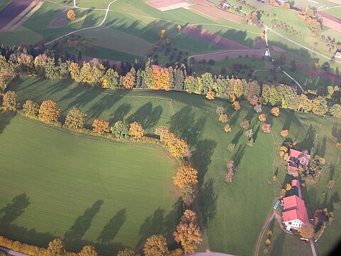Emmental.