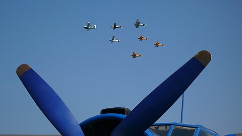Diverse Flugzeuge vom Fliegermuseum Altenrhein.