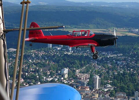 Auf dem Rückflug begegneten wir noch diesem Chipmunch.