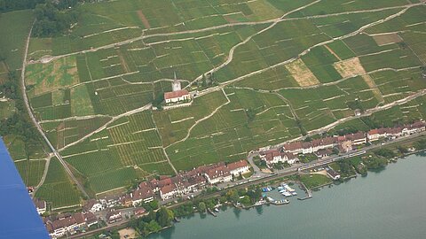 Die Ortschaft Ligerz.