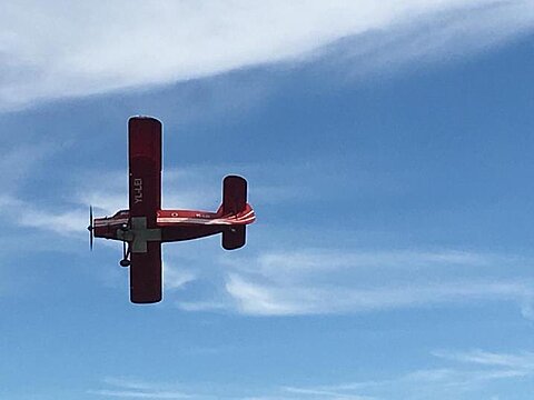 Antonov An-2 aus dem Birrfeld als nächstes Flugzeug.