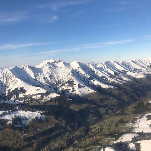 Simmenthal.