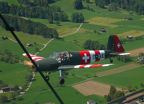 Bücker Bestmann.