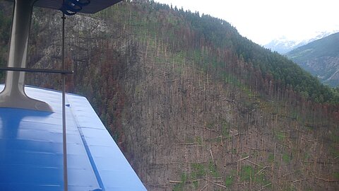 Vor 3 Jahren gab es den Waldbrand bei Raron.