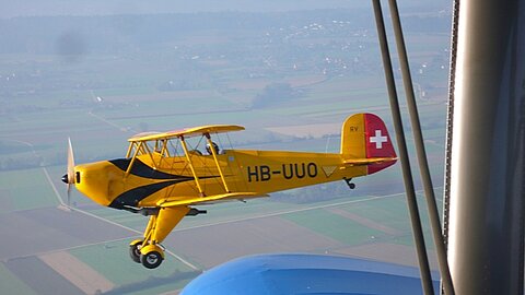 Ein Bücker kommt zu Besuch.