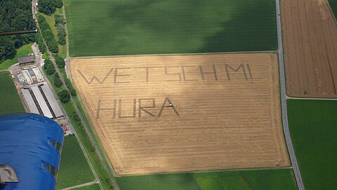 Über dem Seeland finden wir dieses Kornfeld eines Bauern.