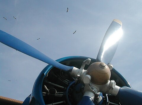 Flugtage Raron.