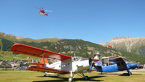 Die zwei Vögel auf dem Flugplatz Samedan.