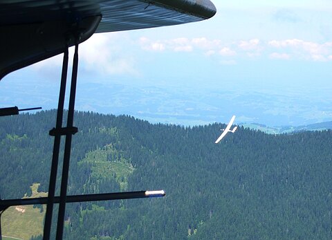 Im Aufwind ein Segelflugzeug.