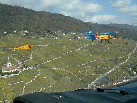 Der Verband am Seeufer vom Bielersee.