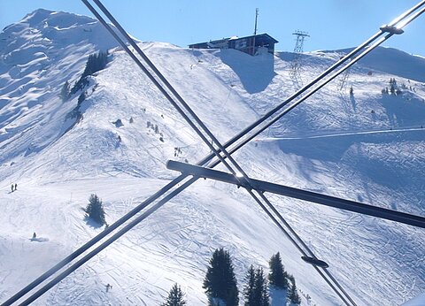 Rinderberg.